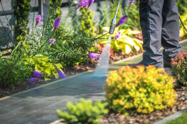 Trusted Wellsville, OH Pressure Washing Services Experts