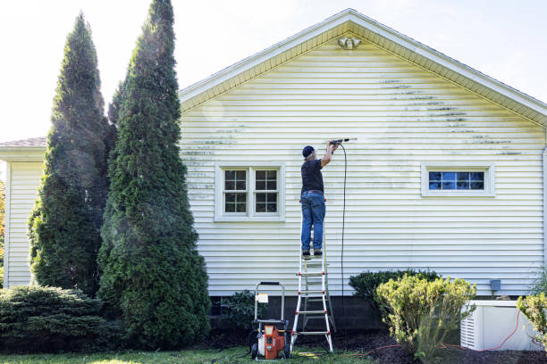 Best Spring Cleaning  in Wellsville, OH